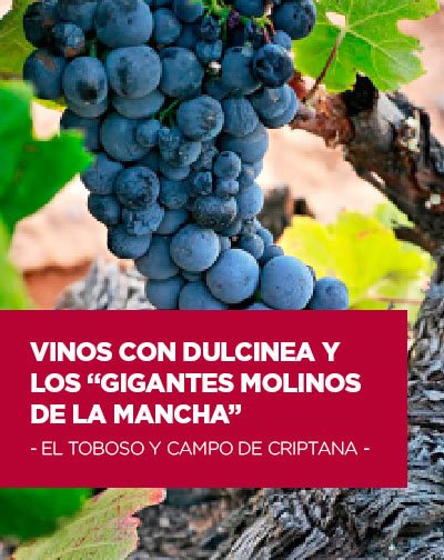 Vinos con Dulcinea